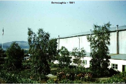 Berrouaghia – 1961 (Bernard Charles) 