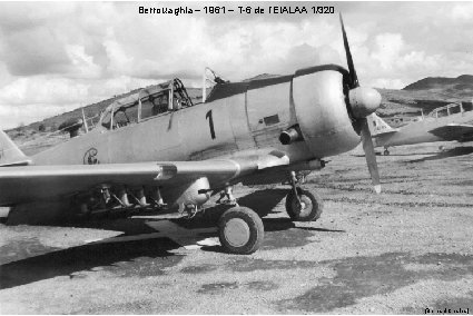 Berrouaghia – 1961 – T-6 de l’EIALAA 1/320 (Bernard Charles) 