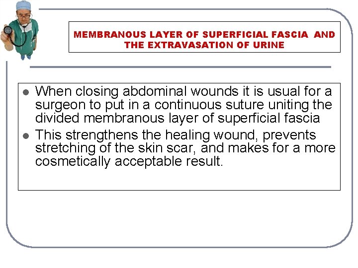 MEMBRANOUS LAYER OF SUPERFICIAL FASCIA AND THE EXTRAVASATION OF URINE l l When closing