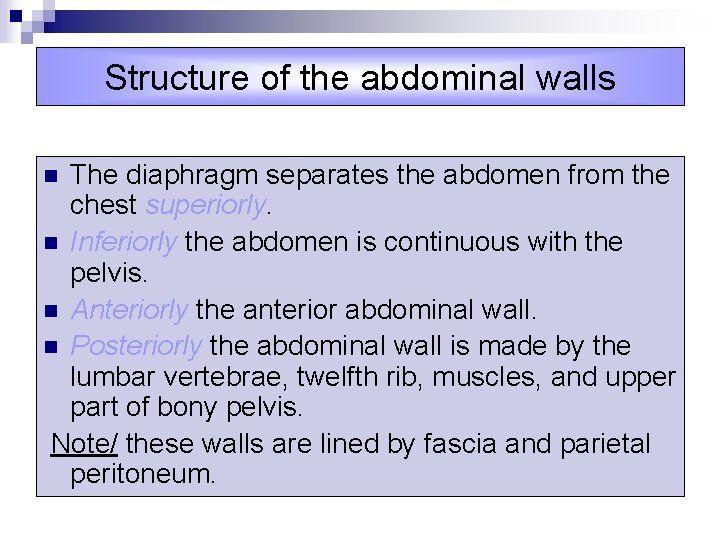 Structure of the abdominal walls The diaphragm separates the abdomen from the chest superiorly.