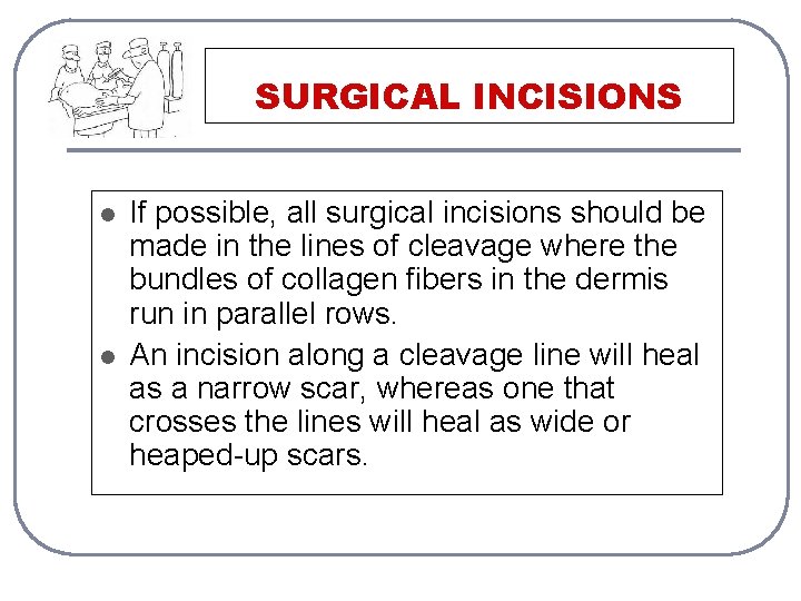 SURGICAL INCISIONS l l If possible, all surgical incisions should be made in the