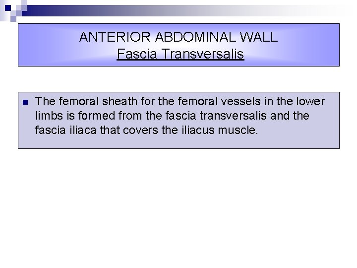 ANTERIOR ABDOMINAL WALL Fascia Transversalis n The femoral sheath for the femoral vessels in