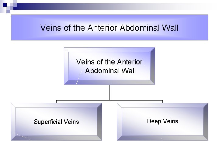 Veins of the Anterior Abdominal Wall Superficial Veins Deep Veins 
