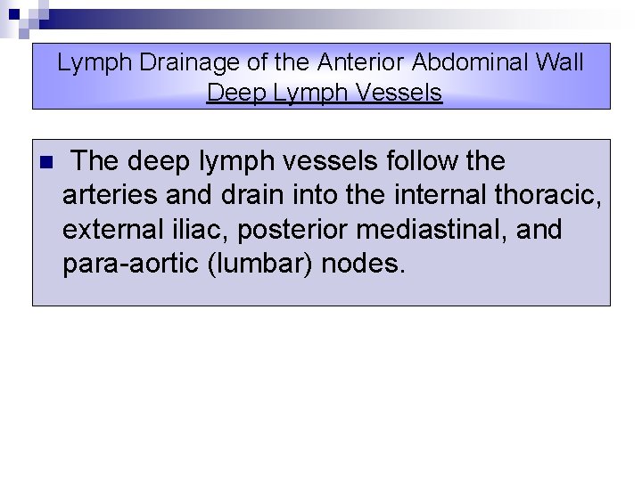 Lymph Drainage of the Anterior Abdominal Wall Deep Lymph Vessels n The deep lymph
