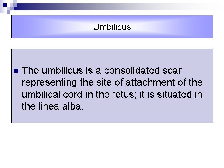 Umbilicus n The umbilicus is a consolidated scar representing the site of attachment of
