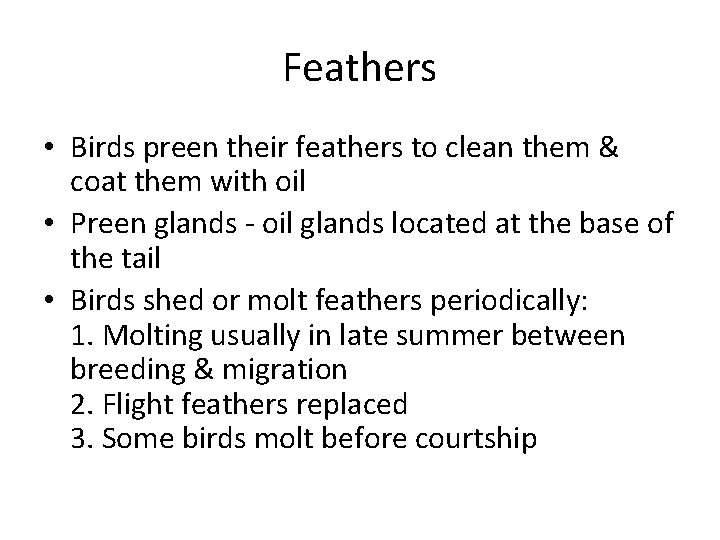 Feathers • Birds preen their feathers to clean them & coat them with oil