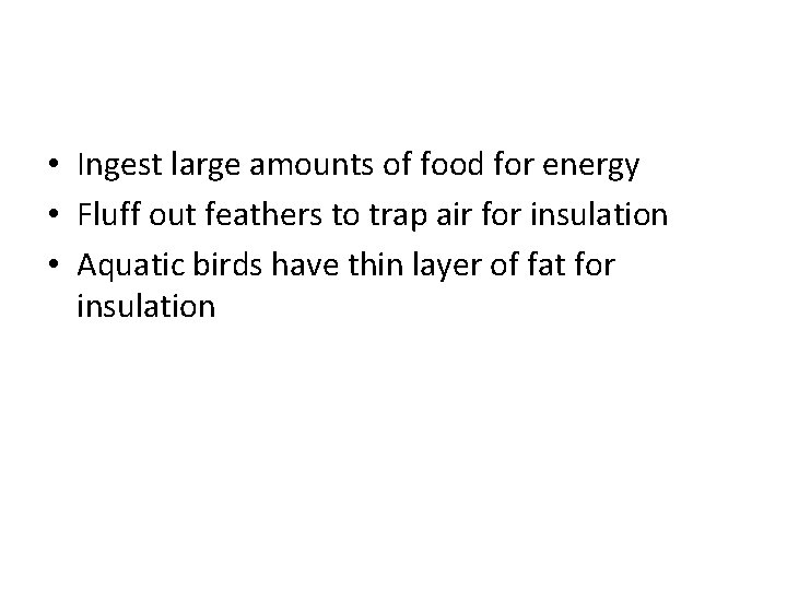 • Ingest large amounts of food for energy • Fluff out feathers to
