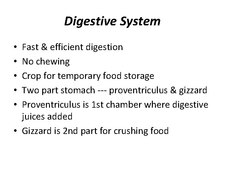 Digestive System Fast & efficient digestion No chewing Crop for temporary food storage Two