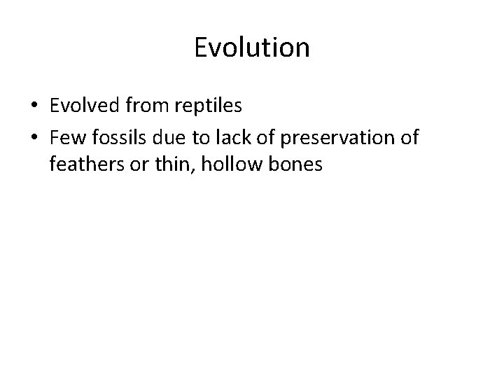 Evolution • Evolved from reptiles • Few fossils due to lack of preservation of
