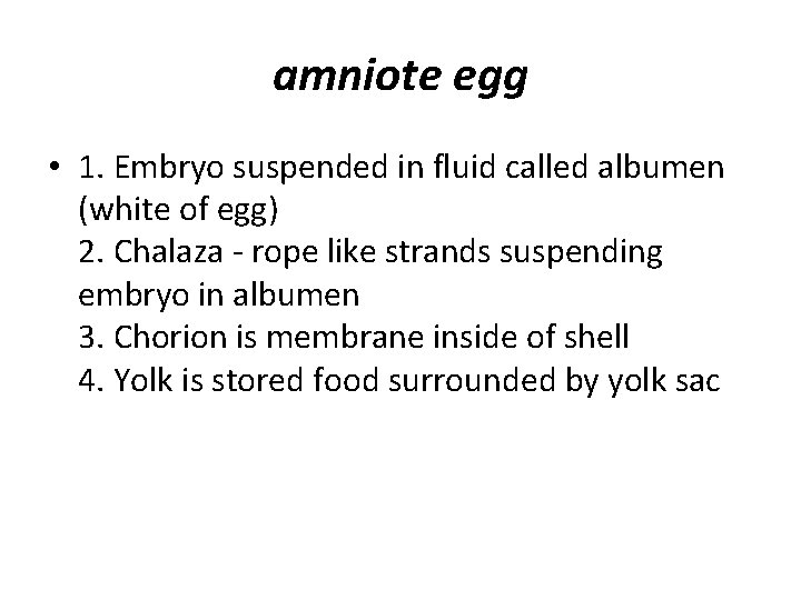 amniote egg • 1. Embryo suspended in fluid called albumen (white of egg) 2.