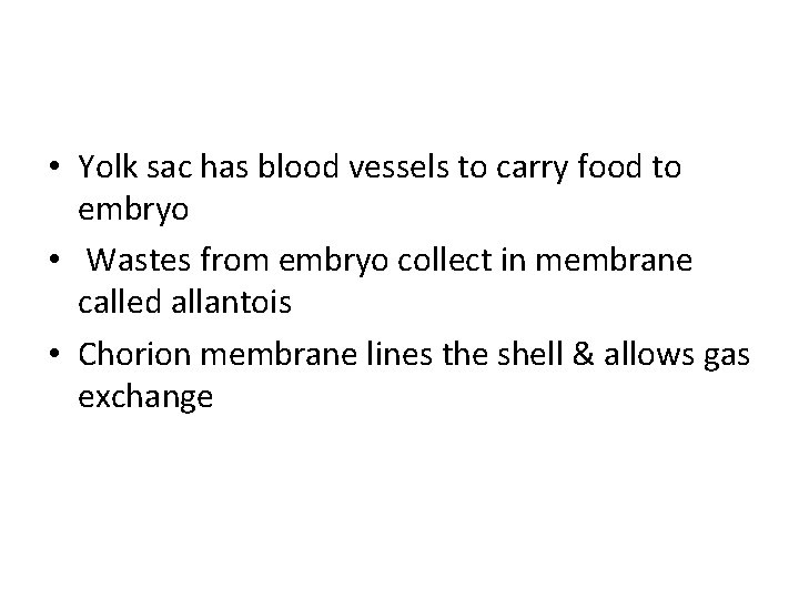  • Yolk sac has blood vessels to carry food to embryo • Wastes