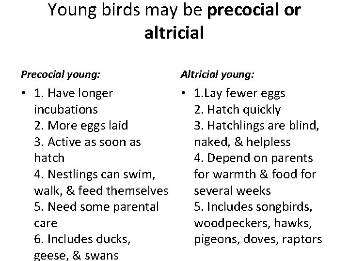 Young birds may be precocial or altricial Precocial young: Altricial young: • 1. Have