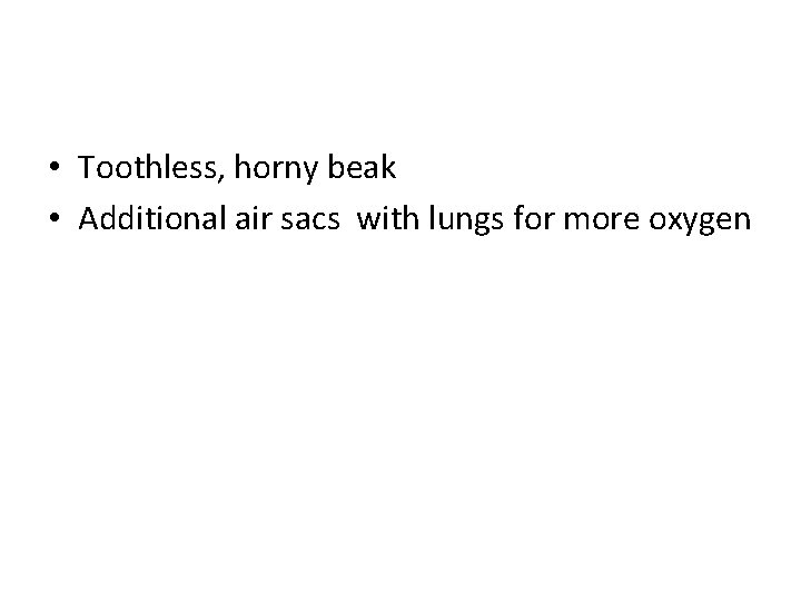  • Toothless, horny beak • Additional air sacs with lungs for more oxygen