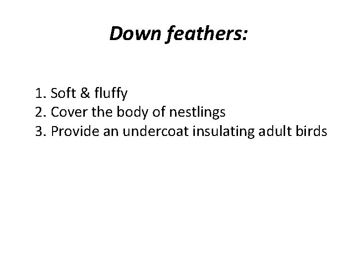 Down feathers: 1. Soft & fluffy 2. Cover the body of nestlings 3. Provide
