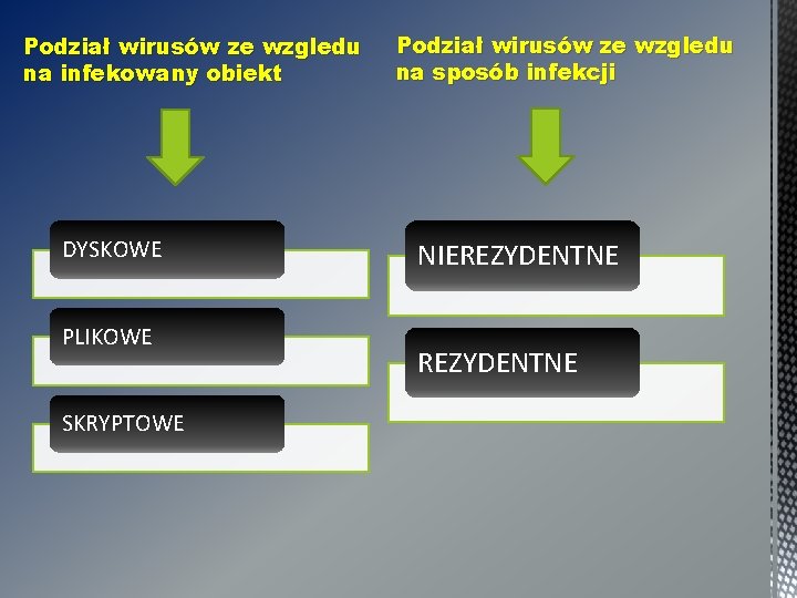 Podział wirusów ze wzgledu na infekowany obiekt DYSKOWE PLIKOWE SKRYPTOWE Podział wirusów ze wzgledu