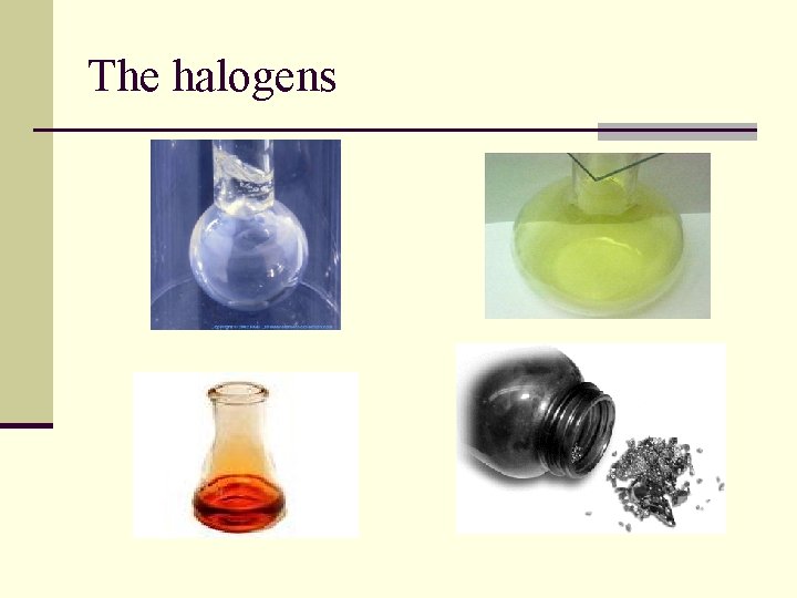 The halogens 
