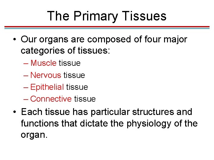 The Primary Tissues • Our organs are composed of four major categories of tissues: The Primary Tissues • Our organs are composed of four major categories of tissues: