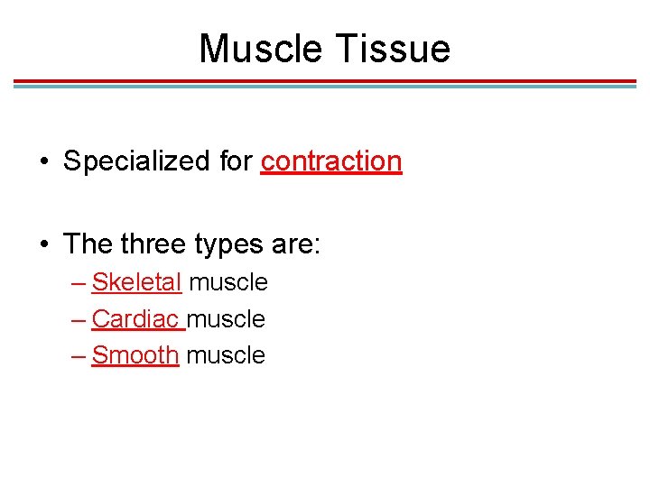 Muscle Tissue • Specialized for contraction • The three types are: – Skeletal muscle Muscle Tissue • Specialized for contraction • The three types are: – Skeletal muscle