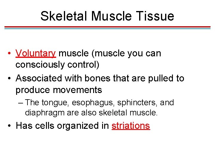 Skeletal Muscle Tissue • Voluntary muscle (muscle you can consciously control) • Associated with Skeletal Muscle Tissue • Voluntary muscle (muscle you can consciously control) • Associated with