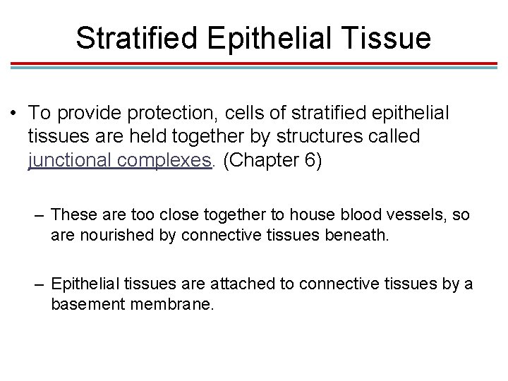 Stratified Epithelial Tissue • To provide protection, cells of stratified epithelial tissues are held Stratified Epithelial Tissue • To provide protection, cells of stratified epithelial tissues are held