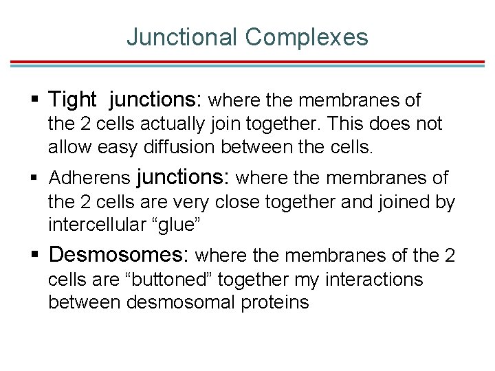 Junctional Complexes § Tight junctions: where the membranes of the 2 cells actually join Junctional Complexes § Tight junctions: where the membranes of the 2 cells actually join