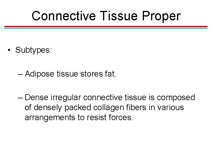 Connective Tissue Proper • Subtypes: – Adipose tissue stores fat. – Dense irregular connective Connective Tissue Proper • Subtypes: – Adipose tissue stores fat. – Dense irregular connective