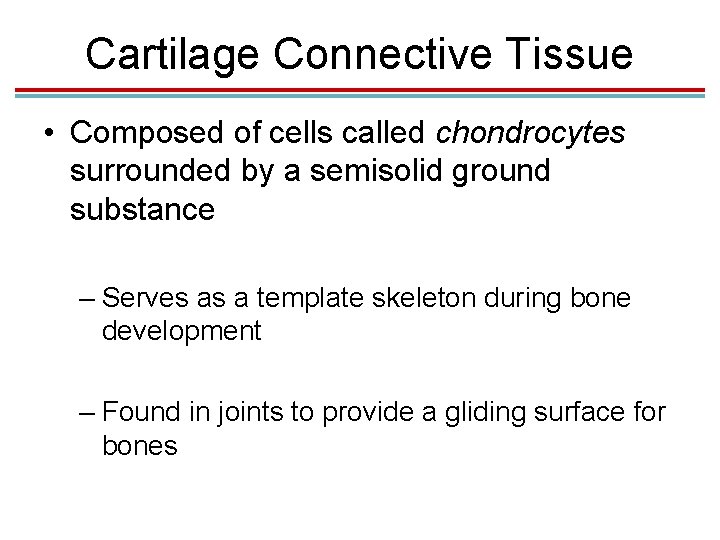 Cartilage Connective Tissue • Composed of cells called chondrocytes surrounded by a semisolid ground Cartilage Connective Tissue • Composed of cells called chondrocytes surrounded by a semisolid ground