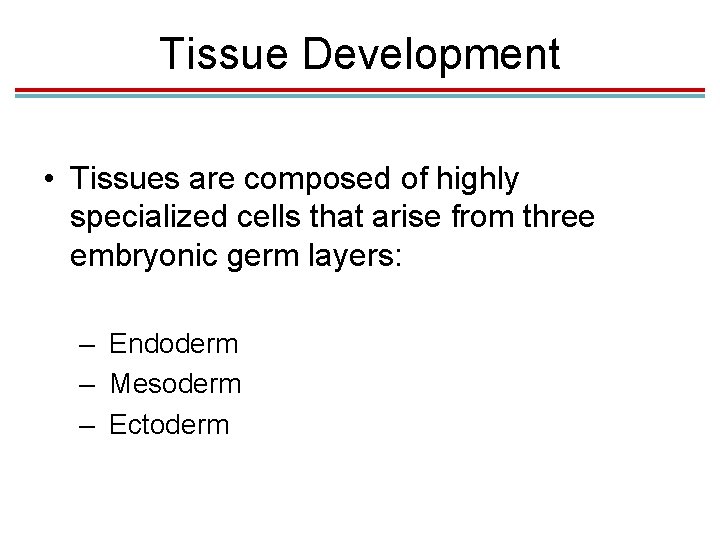 Tissue Development • Tissues are composed of highly specialized cells that arise from three Tissue Development • Tissues are composed of highly specialized cells that arise from three