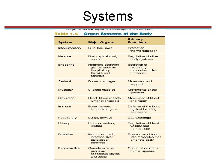 Systems Systems