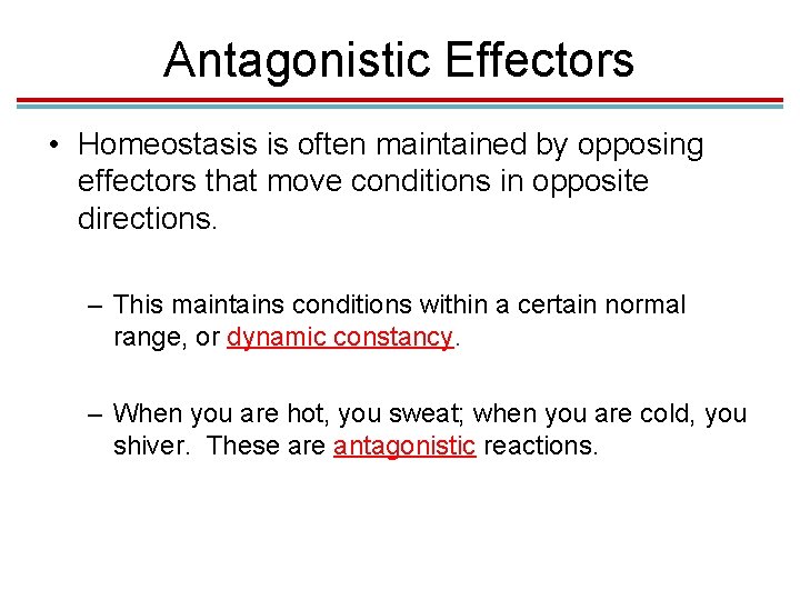 Antagonistic Effectors • Homeostasis is often maintained by opposing effectors that move conditions in Antagonistic Effectors • Homeostasis is often maintained by opposing effectors that move conditions in