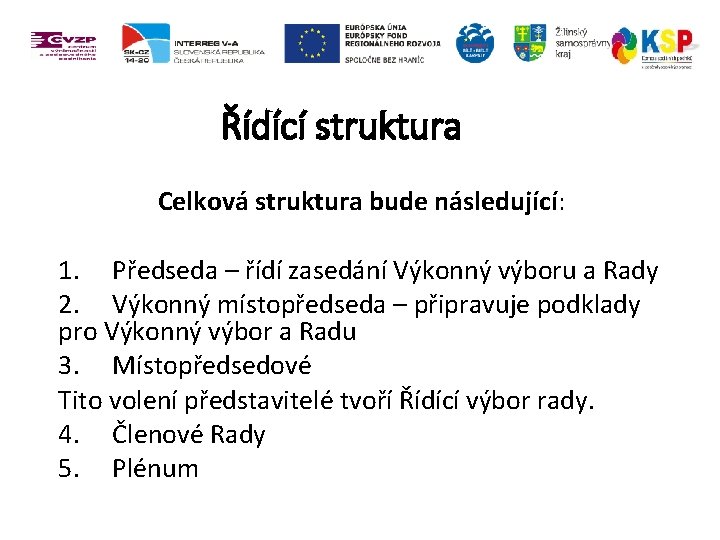 Řídící struktura Celková struktura bude následující: 1. Předseda – řídí zasedání Výkonný výboru a