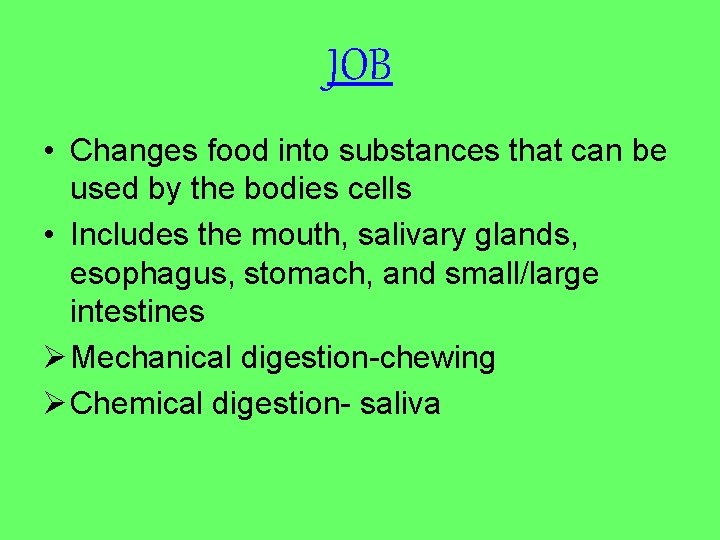 JOB • Changes food into substances that can be used by the bodies cells