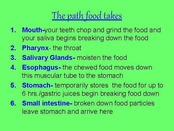 The path food takes 1. Mouth-your teeth chop and grind the food and your