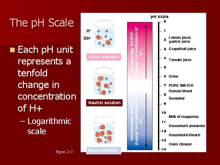 OH– n Each p. H unit represents a tenfold change in concentration of H+