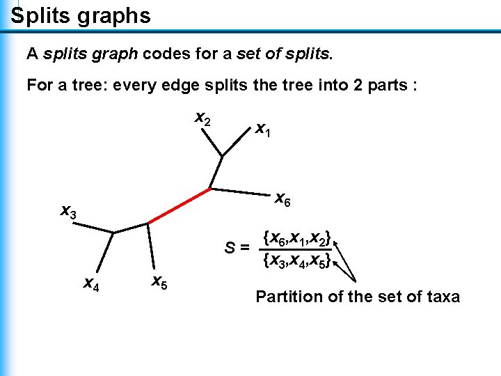 Splits graphs A splits graph codes for a set of splits. For a tree: Splits graphs A splits graph codes for a set of splits. For a tree:
