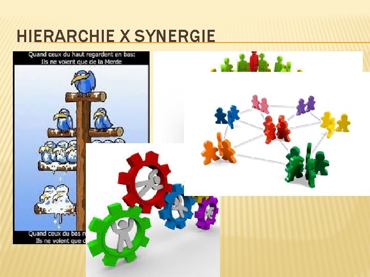HIERARCHIE X SYNERGIE 