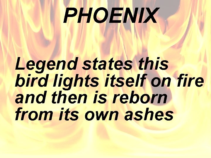 PHOENIX Legend states this bird lights itself on fire and then is reborn from