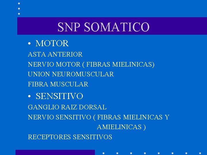 SNP SOMATICO • MOTOR ASTA ANTERIOR NERVIO MOTOR ( FIBRAS MIELINICAS) UNION NEUROMUSCULAR FIBRA