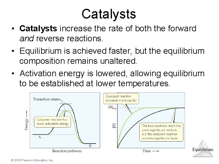 Catalysts • Catalysts increase the rate of both the forward and reverse reactions. •