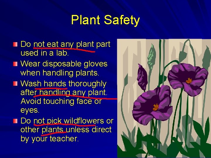 Plant Safety Do not eat any plant part used in a lab. Wear disposable