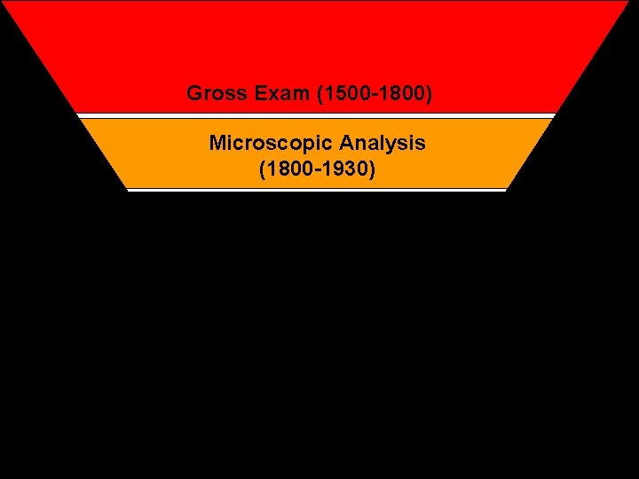 Gross Exam (1500 -1800) Microscopic Analysis (1800 -1930) Electron Microscopy (1930 -1980) IHC (1980