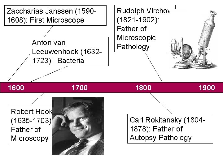 Zaccharias Janssen (15901608): First Microscope Anton van Leeuwenhoek (16321723): Bacteria 1600 Robert Hooke (1635