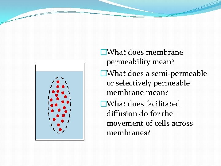 �What does membrane permeability mean? �What does a semi-permeable or selectively permeable membrane mean?
