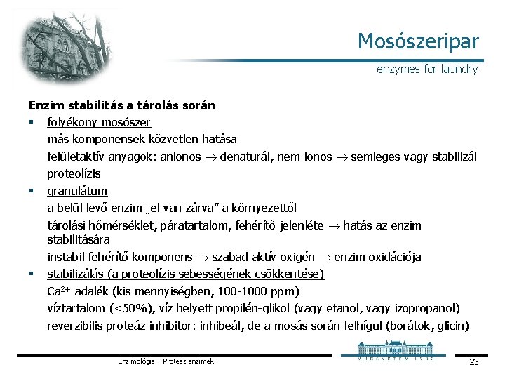 Mosószeripar enzymes for laundry Enzim stabilitás a tárolás során § folyékony mosószer más komponensek