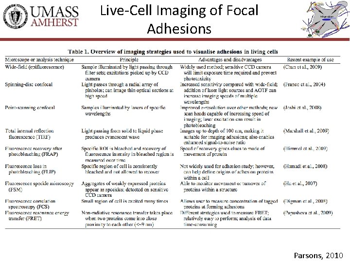 Live-Cell Imaging of Focal Adhesions Parsons, 2010 