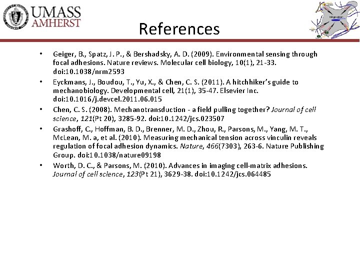 References • • • Geiger, B. , Spatz, J. P. , & Bershadsky, A.