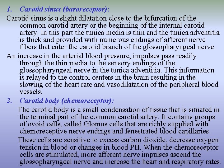 1. Carotid sinus (baroreceptor): Carotid sinus is a slight dilatation close to the bifurcation