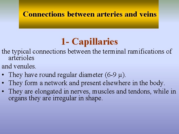 Connections between arteries and veins 1 - Capillaries the typical connections between the terminal