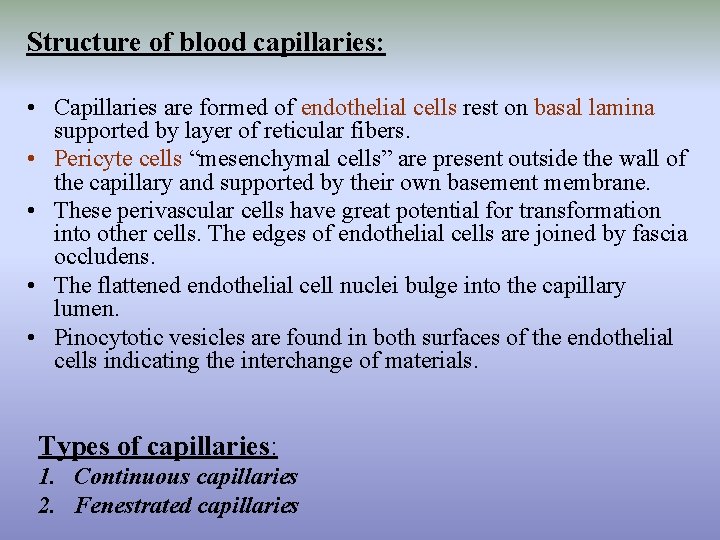 Structure of blood capillaries: • Capillaries are formed of endothelial cells rest on basal