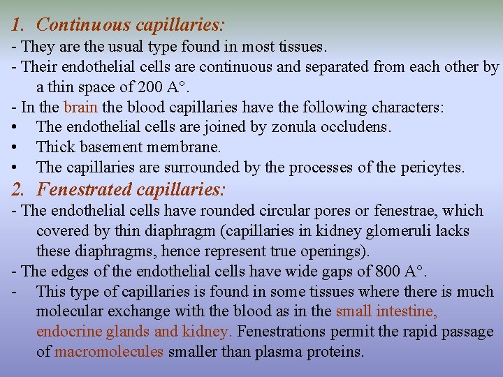1. Continuous capillaries: - They are the usual type found in most tissues. -